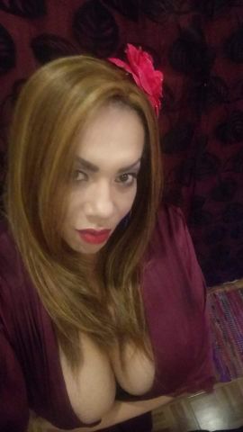 Priscila Presley 26